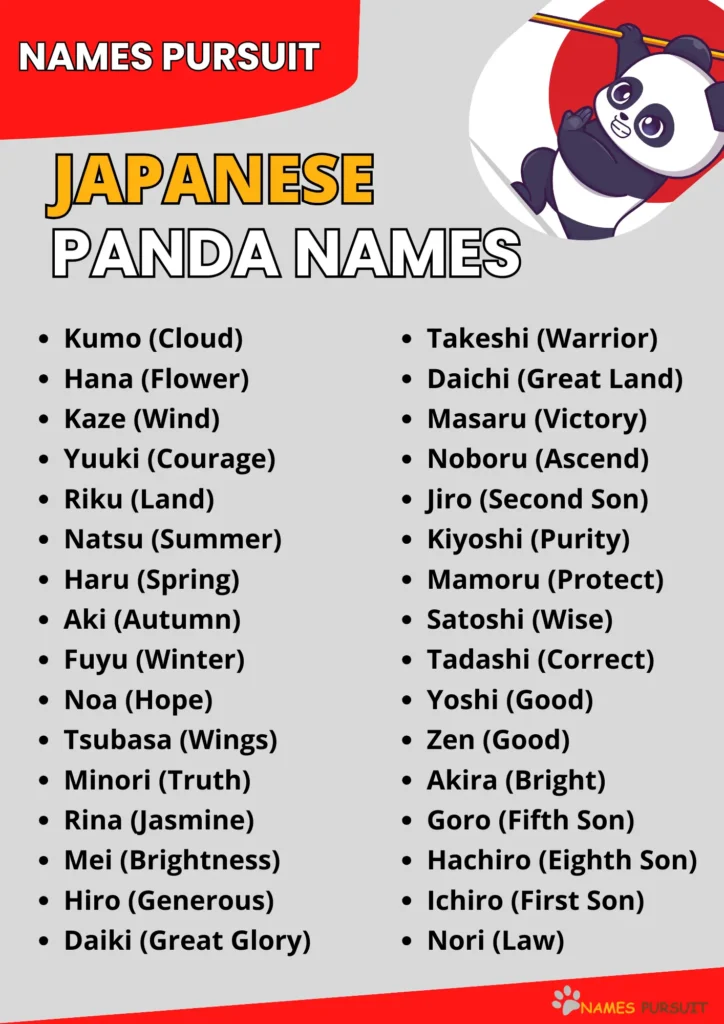 Best Japanese Panda Names Ideas