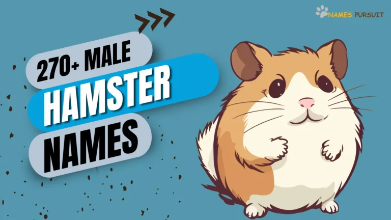 Male Hamster Names