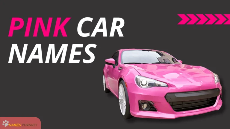 Pink Car Names