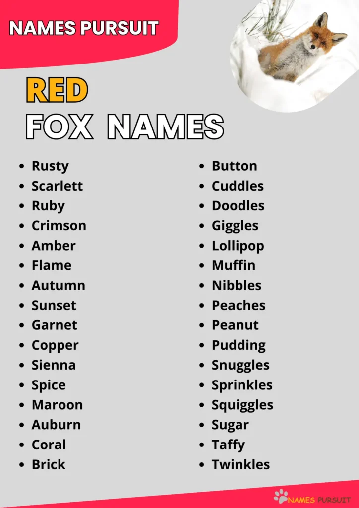 Red Fox Name Ideas