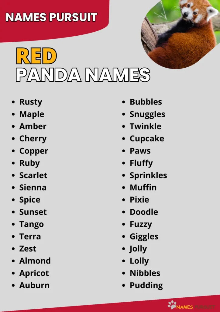 Best Red Panda Name Ideas