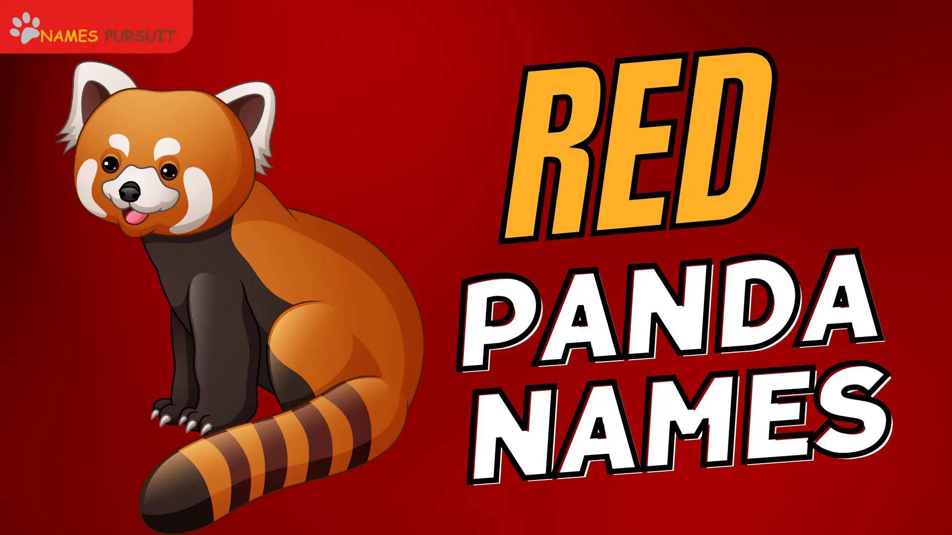 Red Panda Names 300 Adorable Unique Ideas 