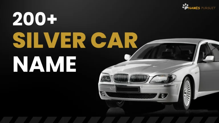 Silver Car Names