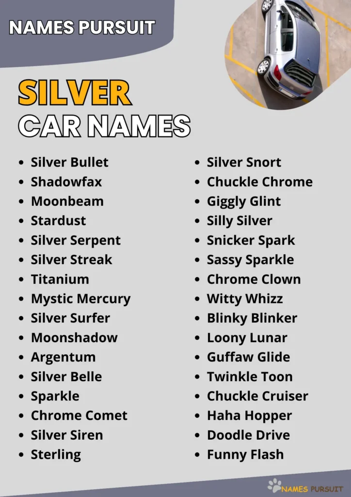 Cool Silver Car Names 460 Unique Naming Ideas 