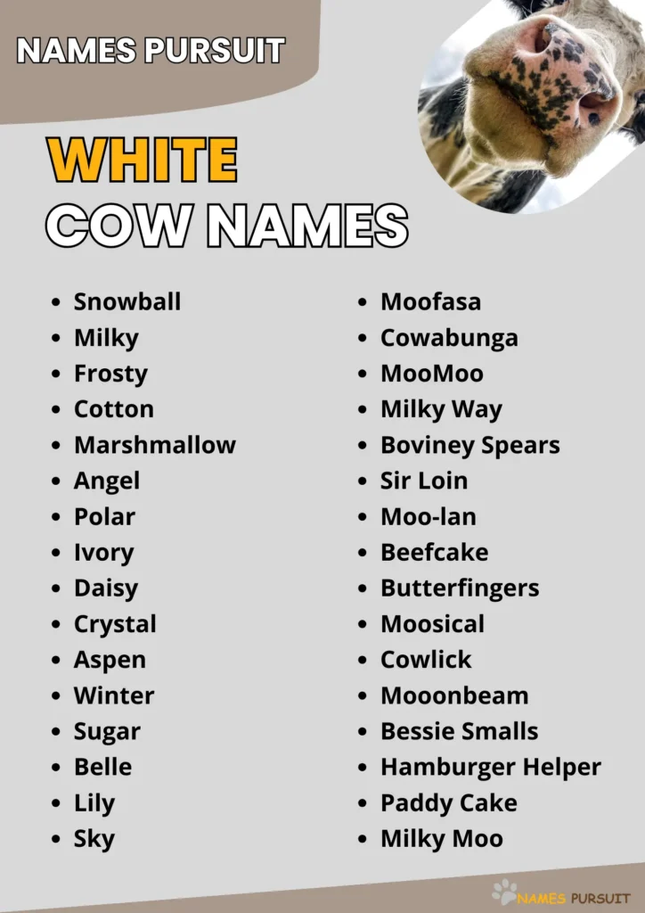 Best White Cow Names Ideas