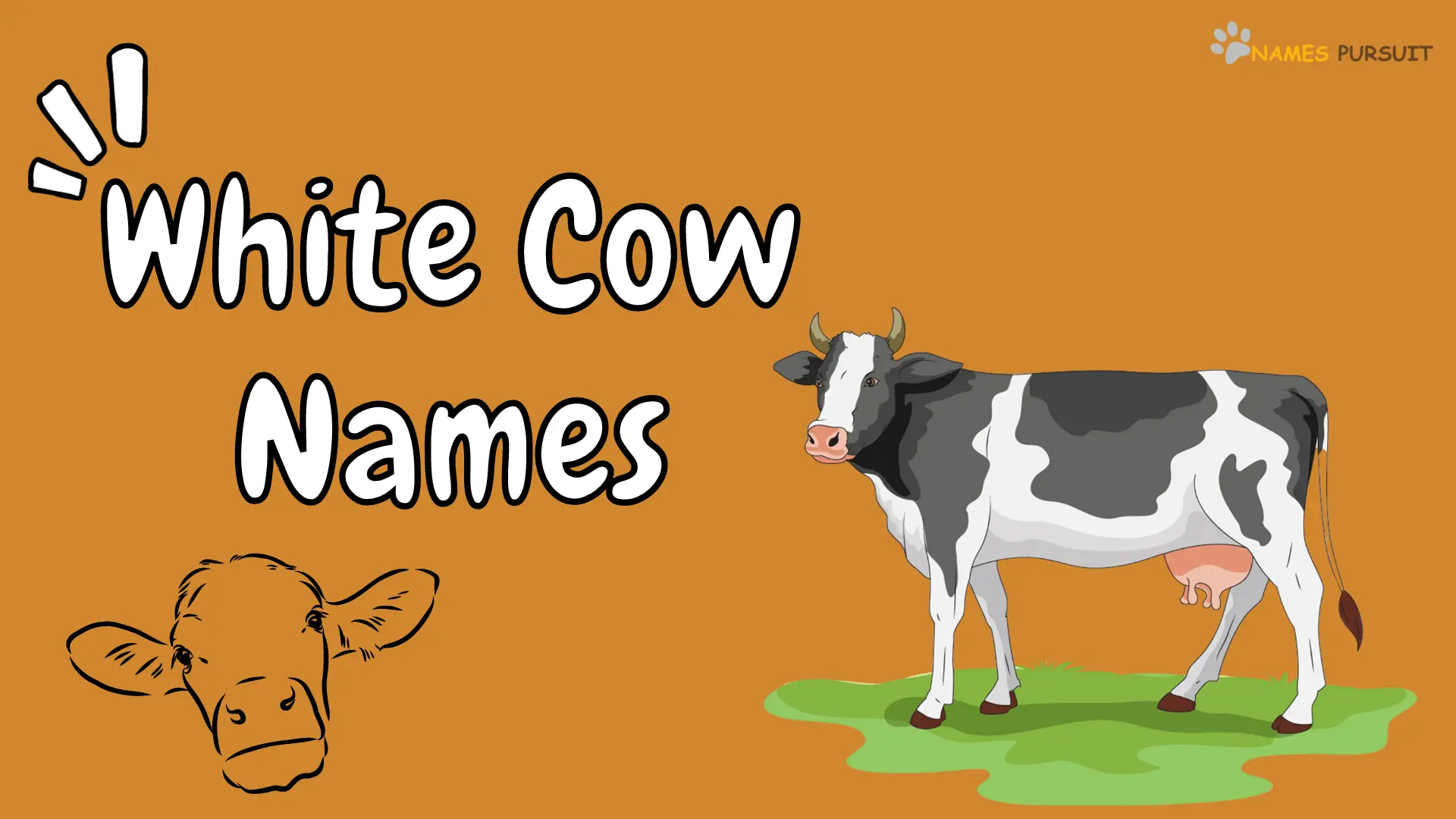 240+ White Cow Names [A Mooving Naming Guide]