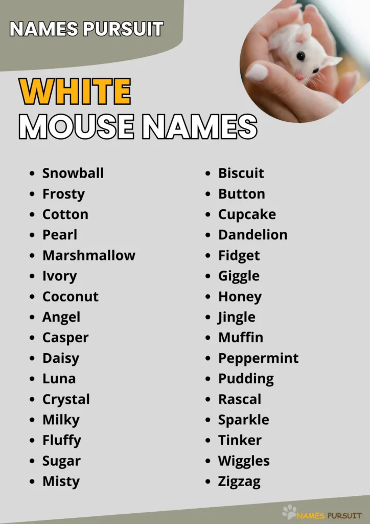 White Mouse Names infographic