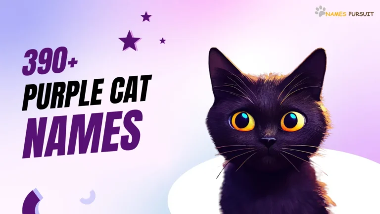 390+ Purple Cat Names
