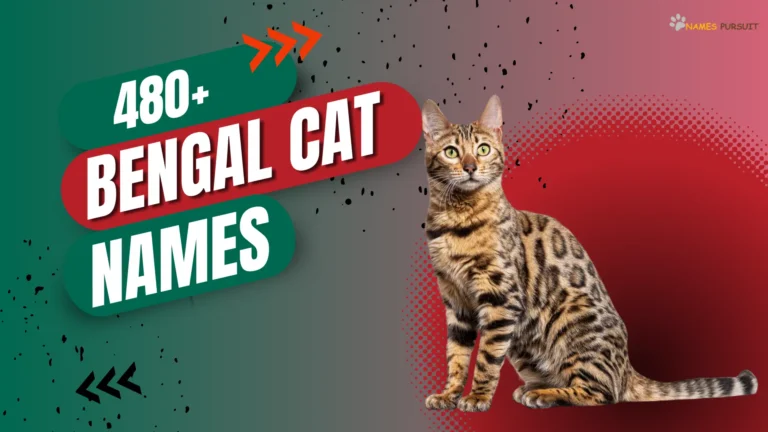 Bengal Cat Names