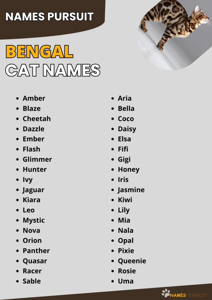 Bengal Cat Names infographic