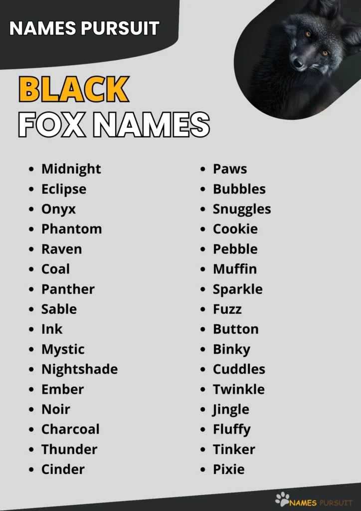 Black Fox Names infographic