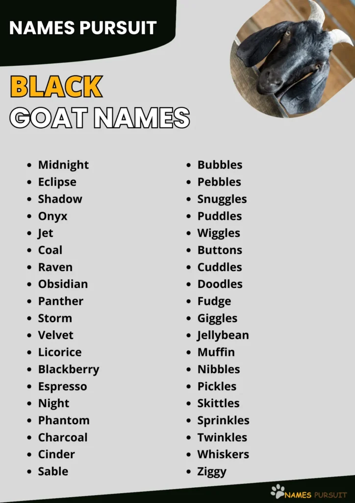 Black Goat Names Ideas