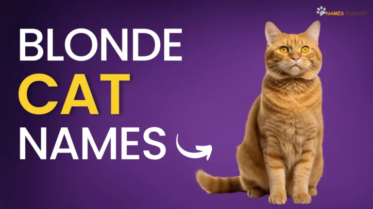 Blonde Cat Names