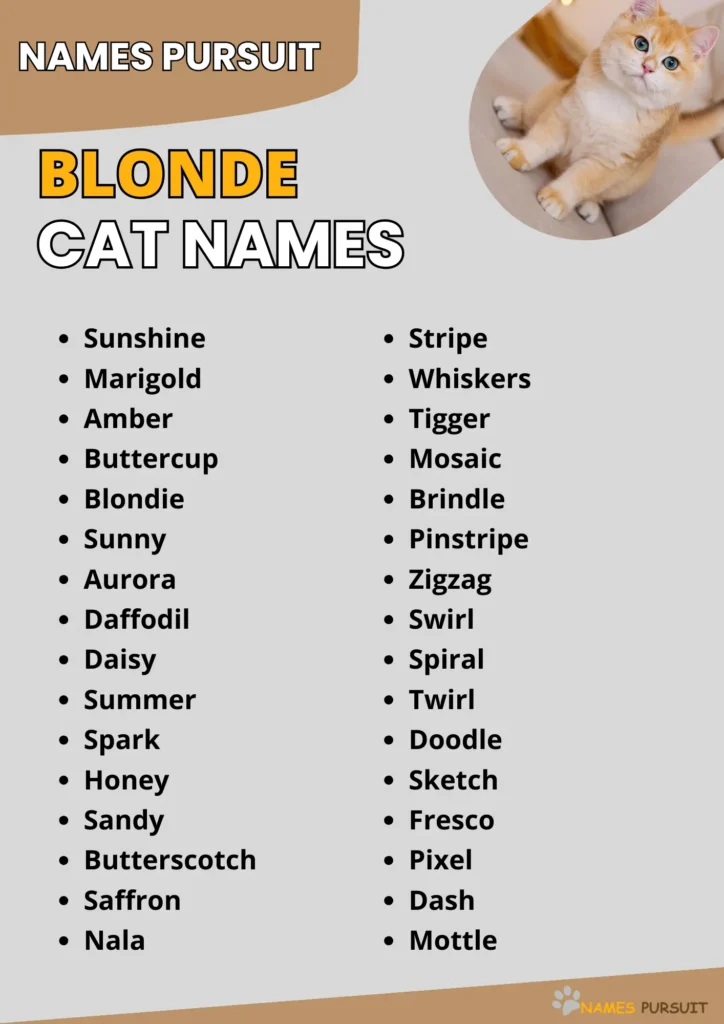 Blonde Cat Names infographic