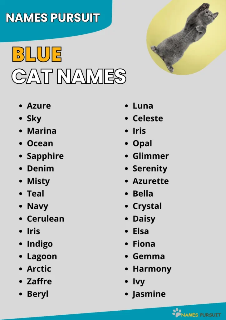 Blue Cat Names infographic