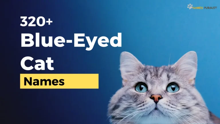 Blue-Eyed Cat Names