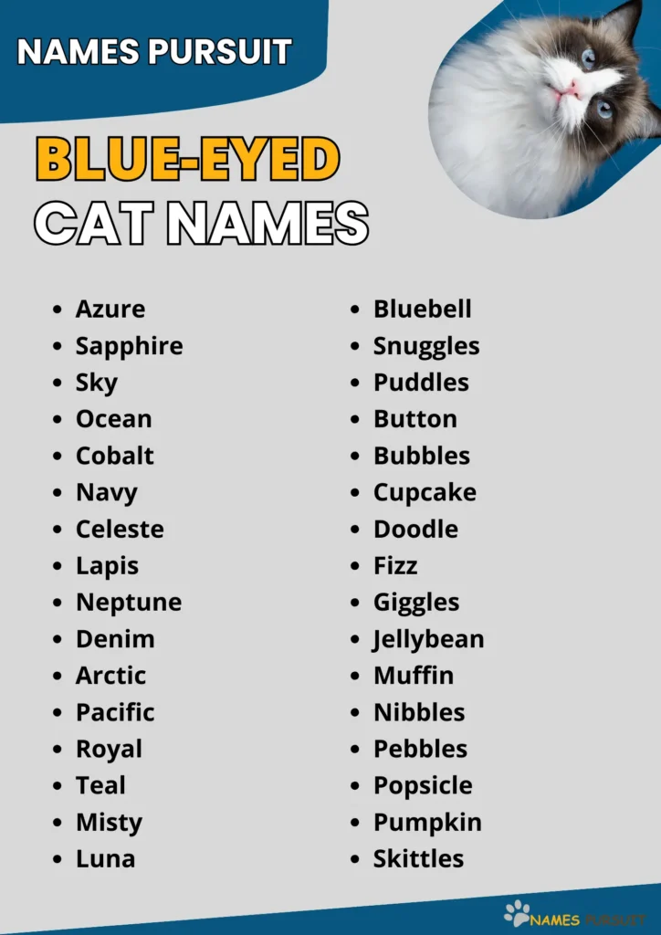 Blue-Eyed Cat Names infographic