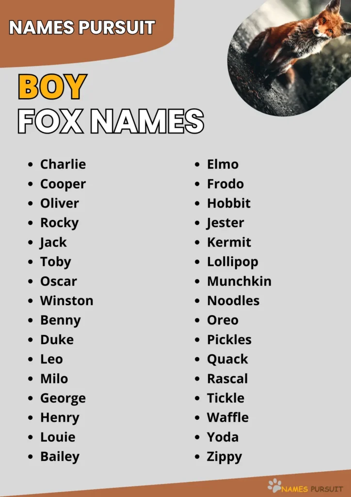 Boy Fox Names infographic