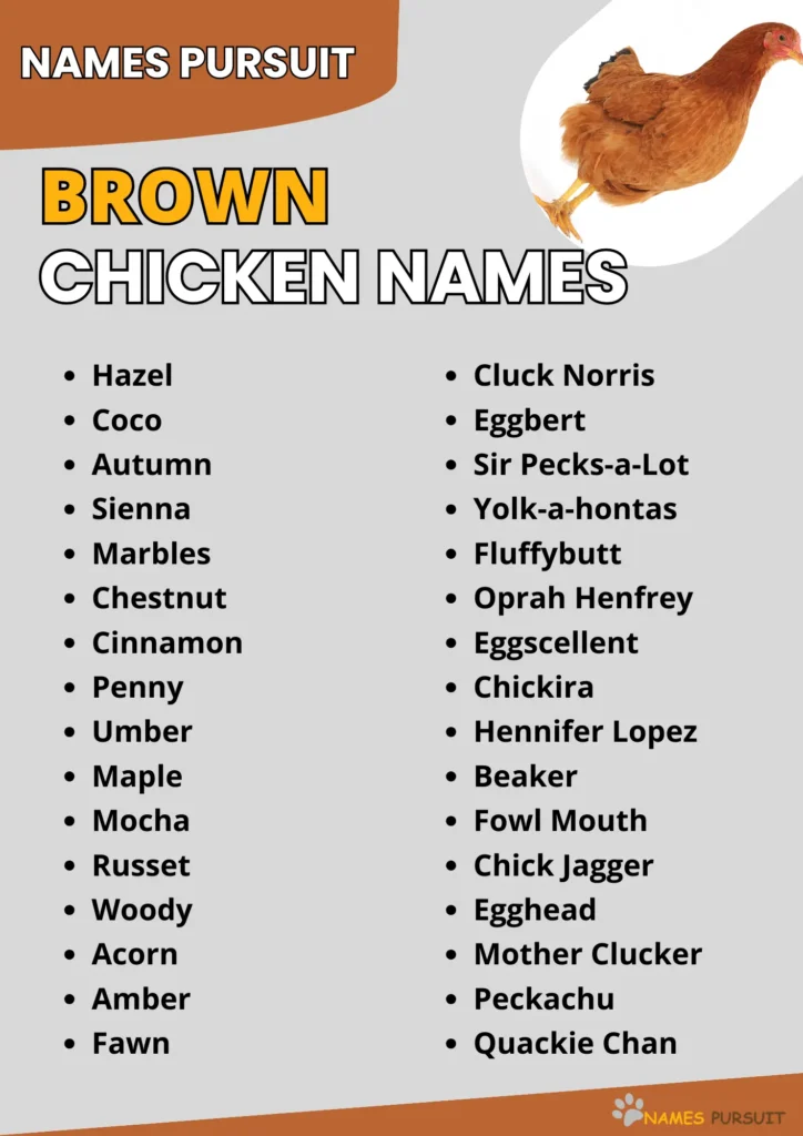 Brown Chicken Names Ideas