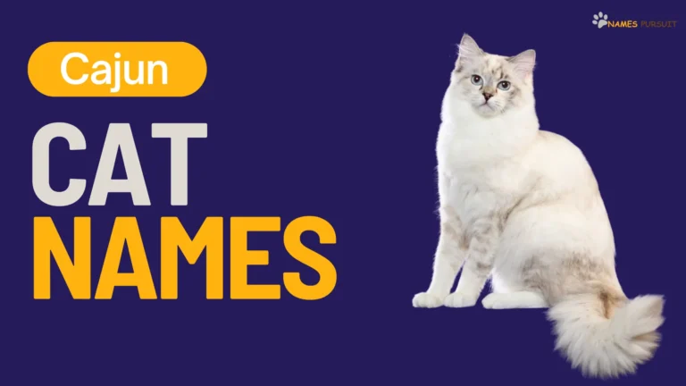 Cajun Cat Names