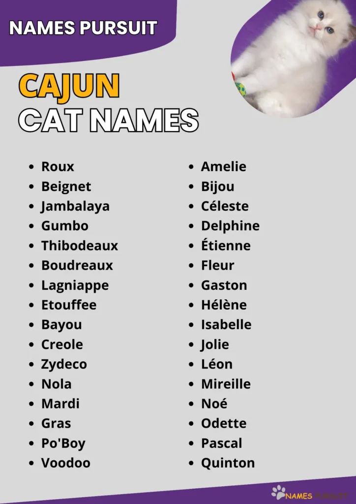 Cajun Cat Names infographic