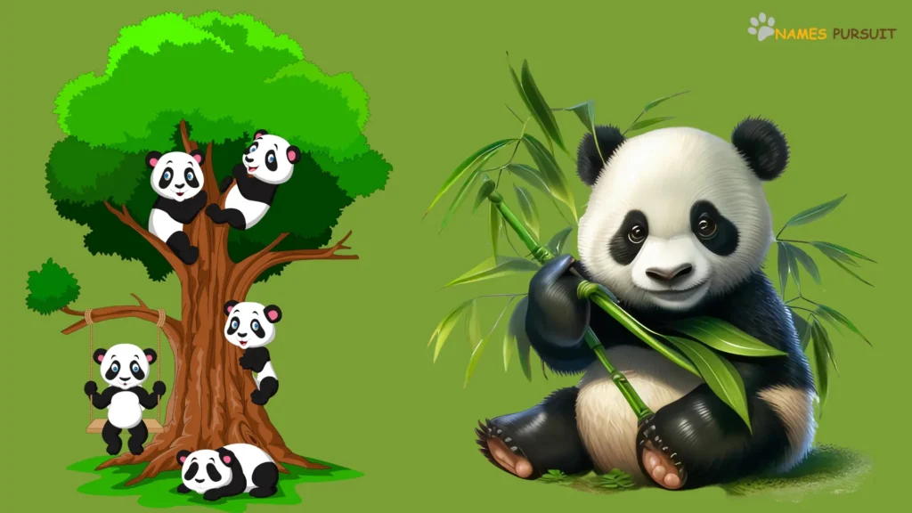 Cartoon-Inspired Panda Names