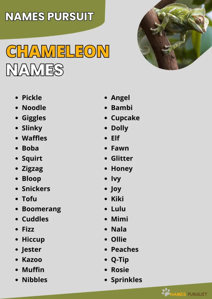 Chameleon Names infographic