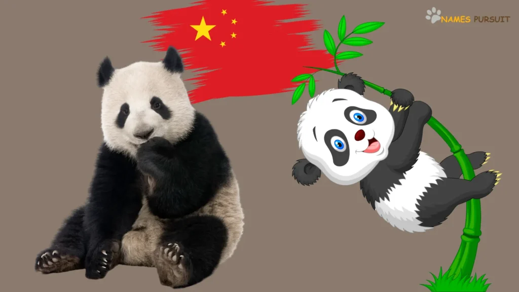 Chinese Names for Pandas