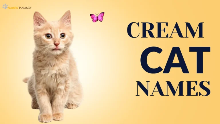 Cream Cat Names