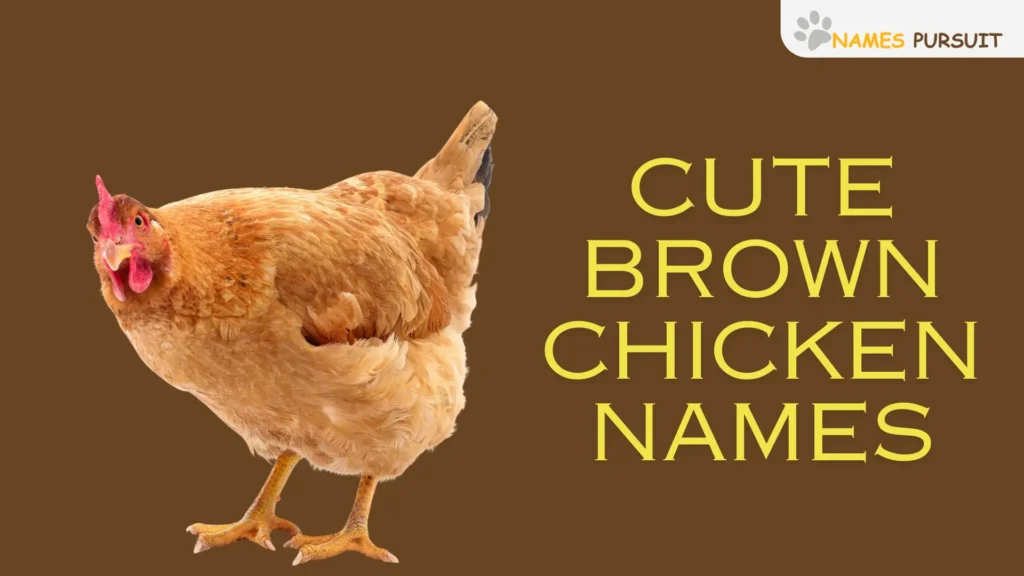 Cute Brown Chicken Names 