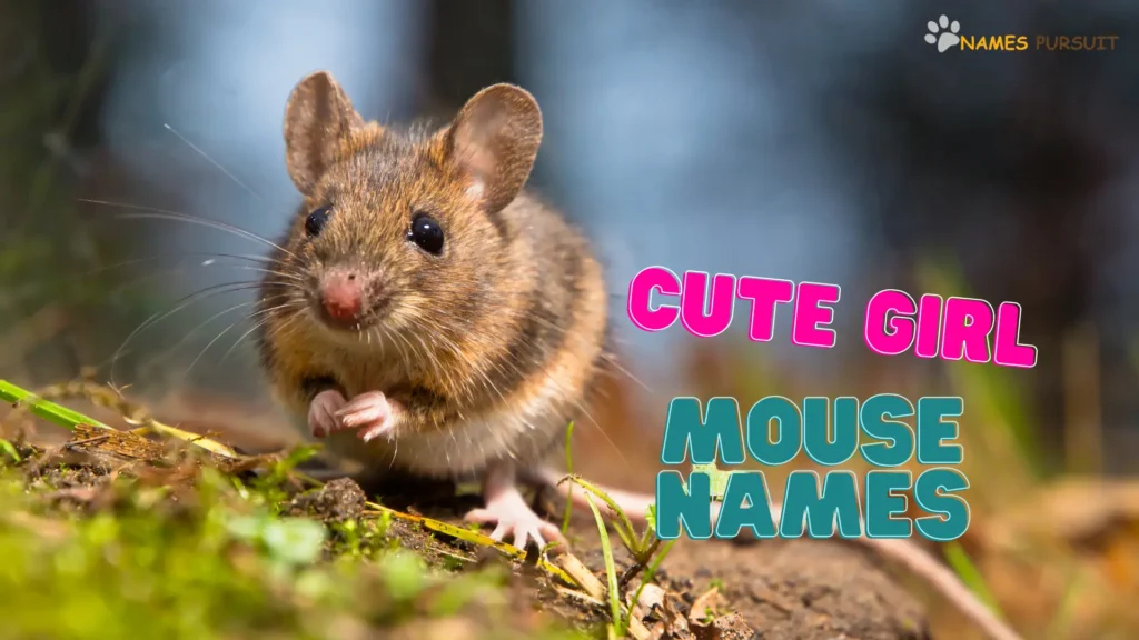 Cute Girl Mouse Names