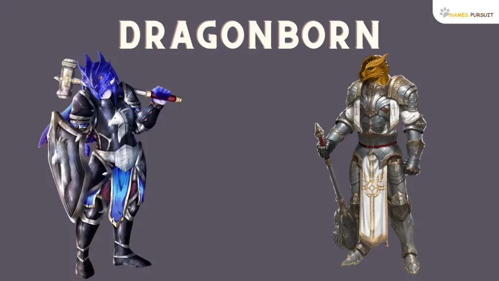 Dragonborn Paladin Name Ideas 