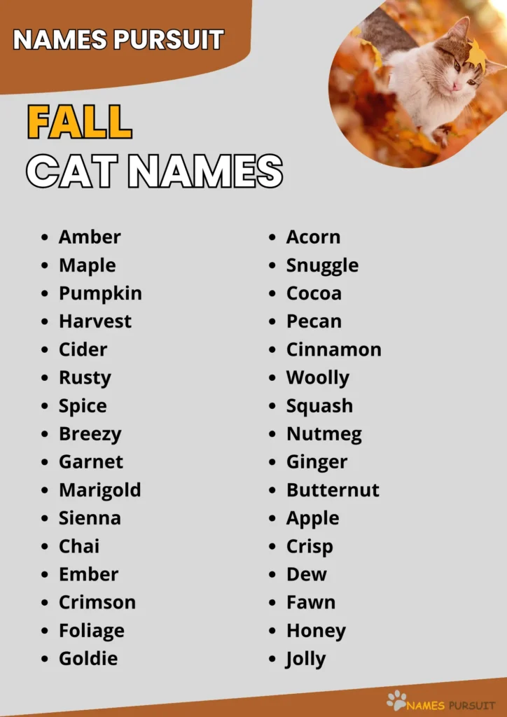 420+ Fall Cat Names [Fun Autumn-Inspired Ideas]