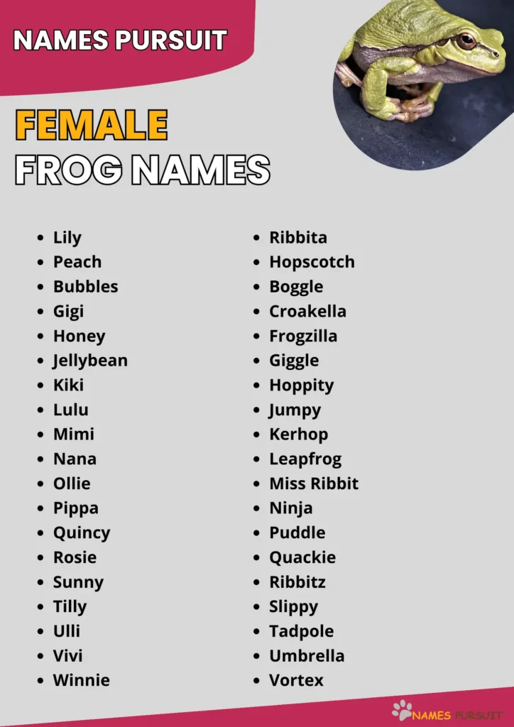 Female Frog Names infographic