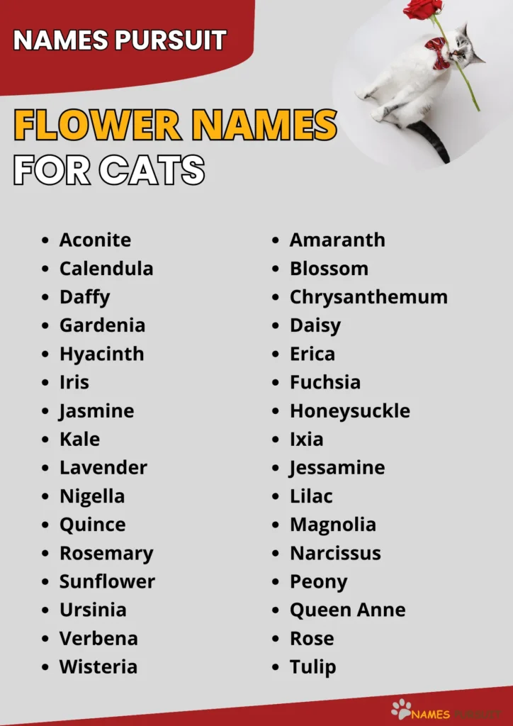 Top Flower Names for Cats