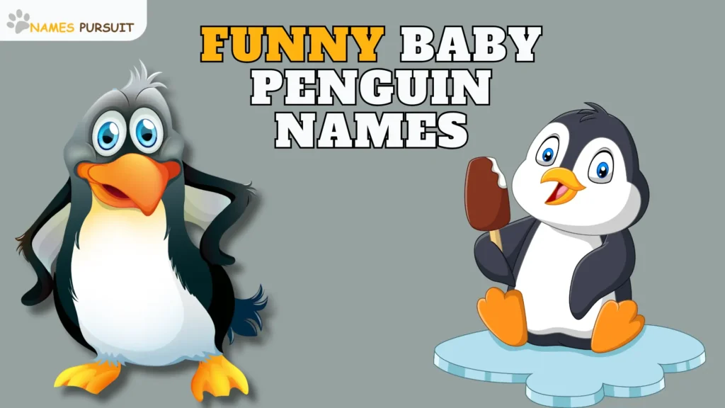 Funny Baby Penguin Names