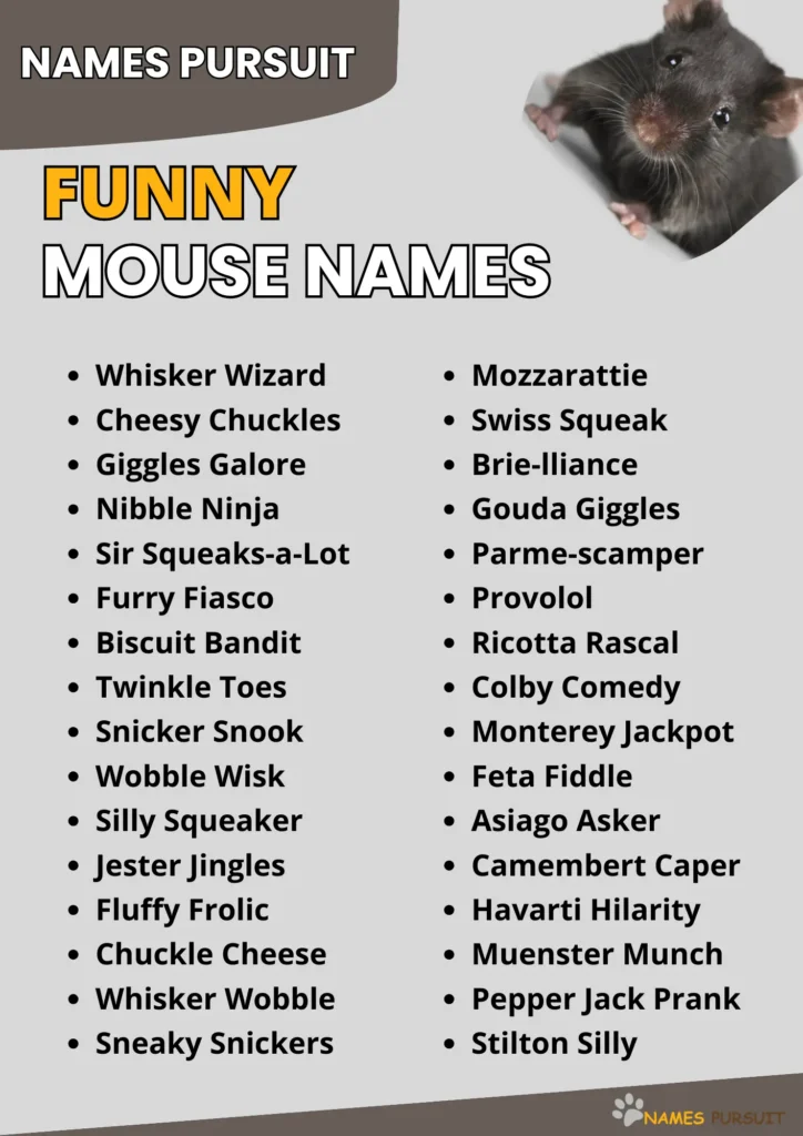 Funny Mouse Names infographic