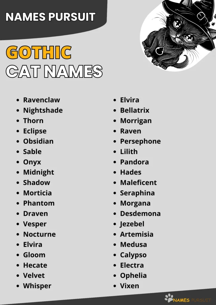 Gothic Cat Names infographic