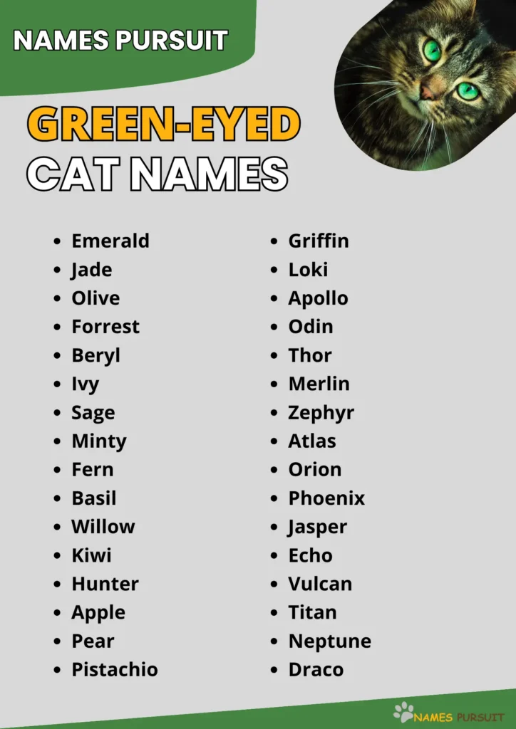 Green-Eyed Cat Names infographic