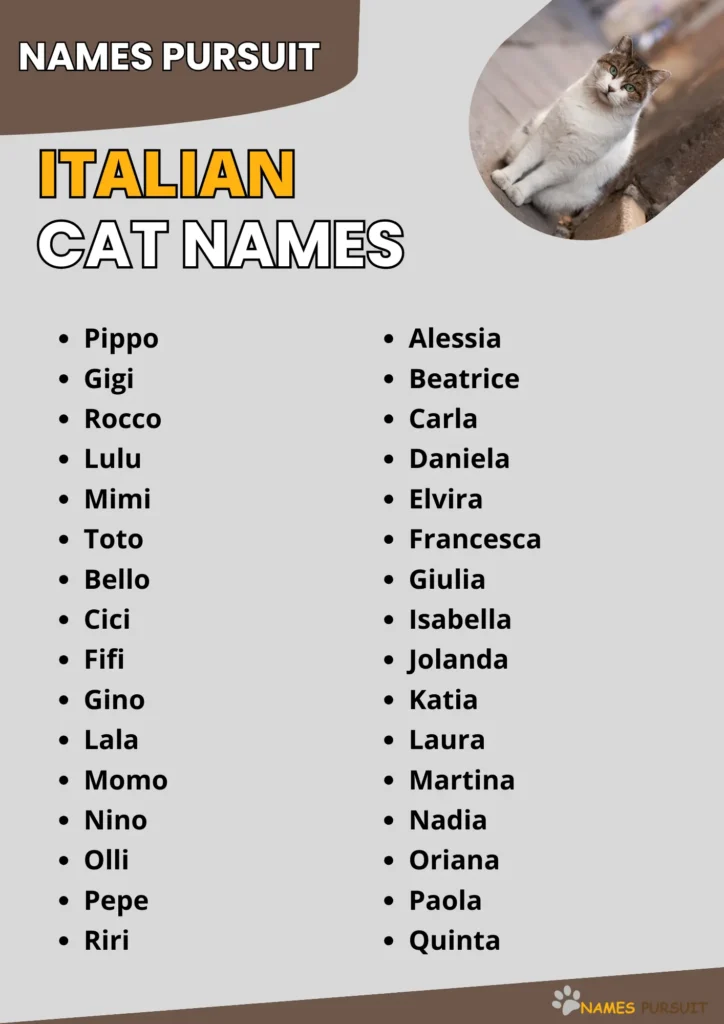 Best Italian Cat Name Ideas