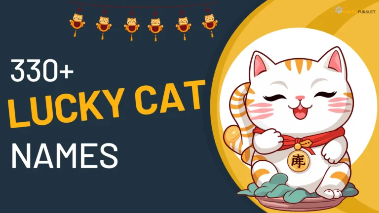 Lucky Cat Names