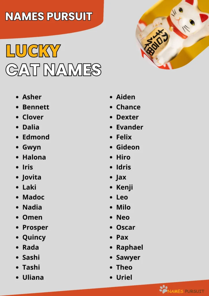 Lucky Cat Names infographic