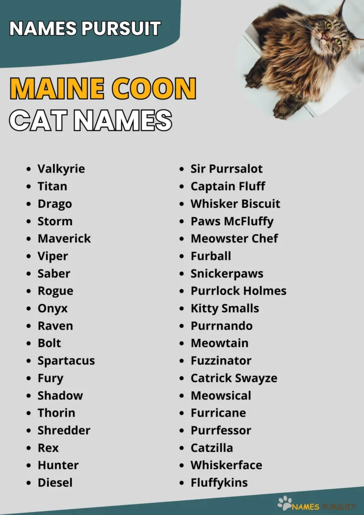 Maine Coon Cat Names Ideas