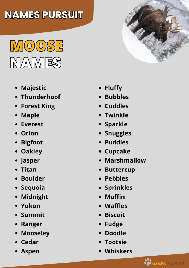 Best Moose Names Ideas