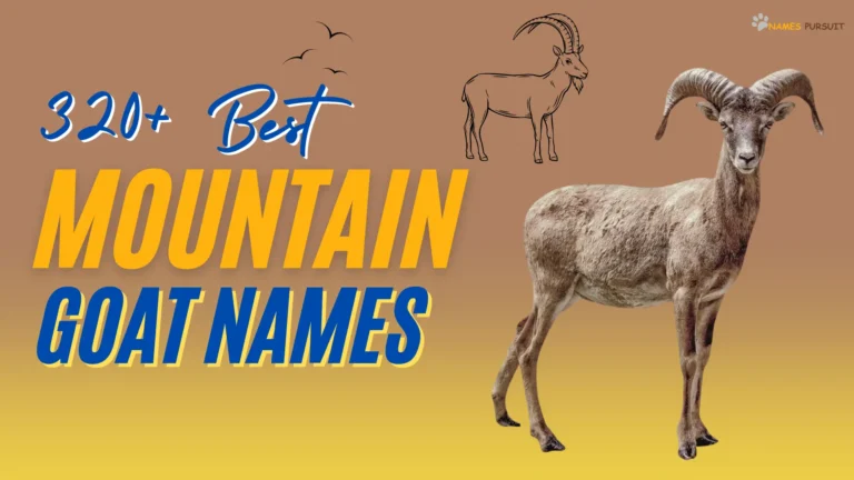 Mountain Goat Names