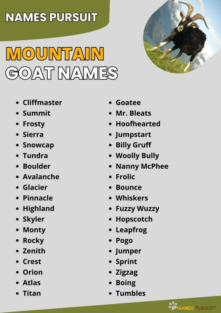 Mountain Goat Names infographic