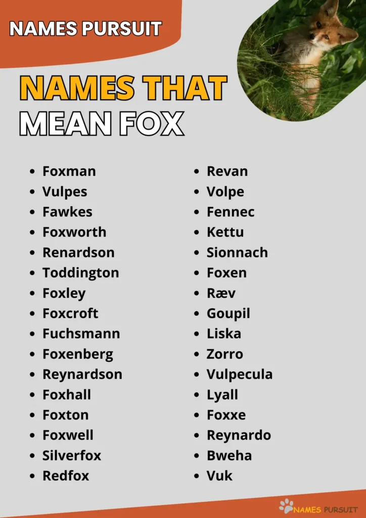 Names That Mean Fox infographic