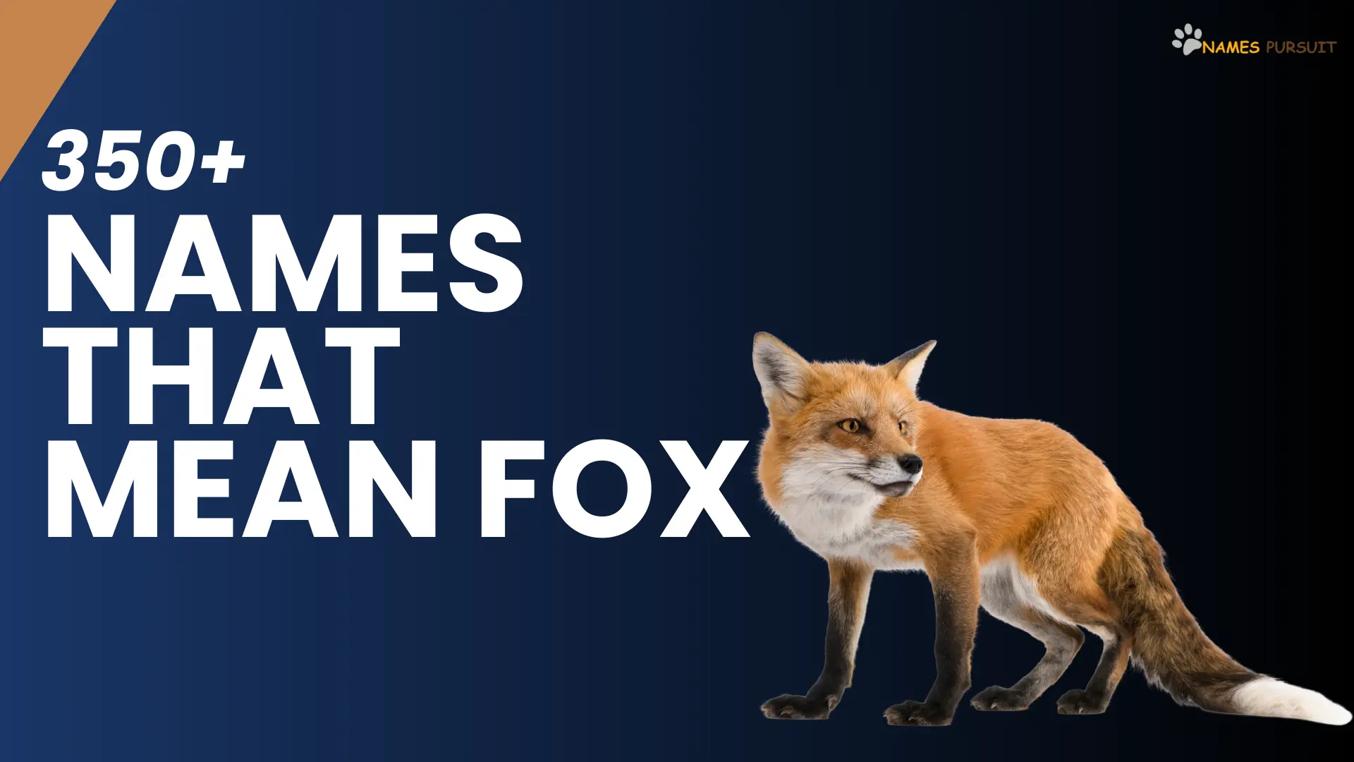 350-names-that-mean-fox-in-different-languages