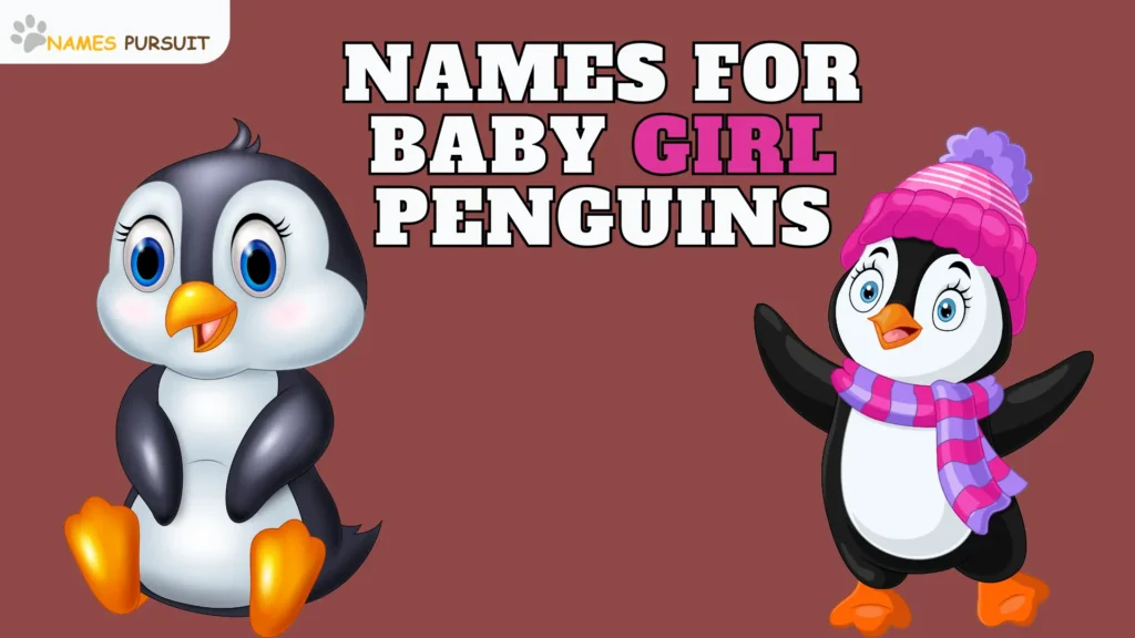 Names for Baby Girl Penguins