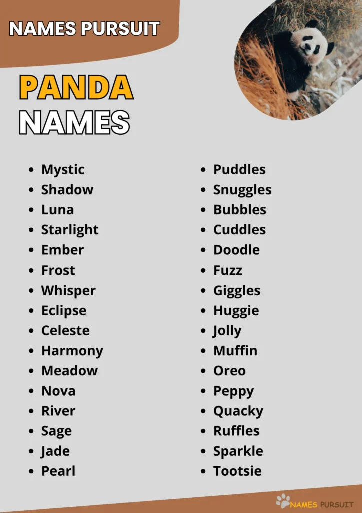 Panda Names infographic